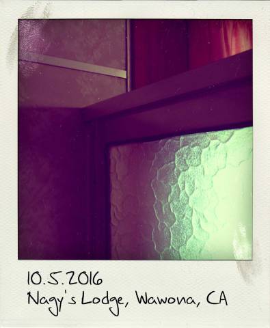 95_NagysLodgeWawonaCA